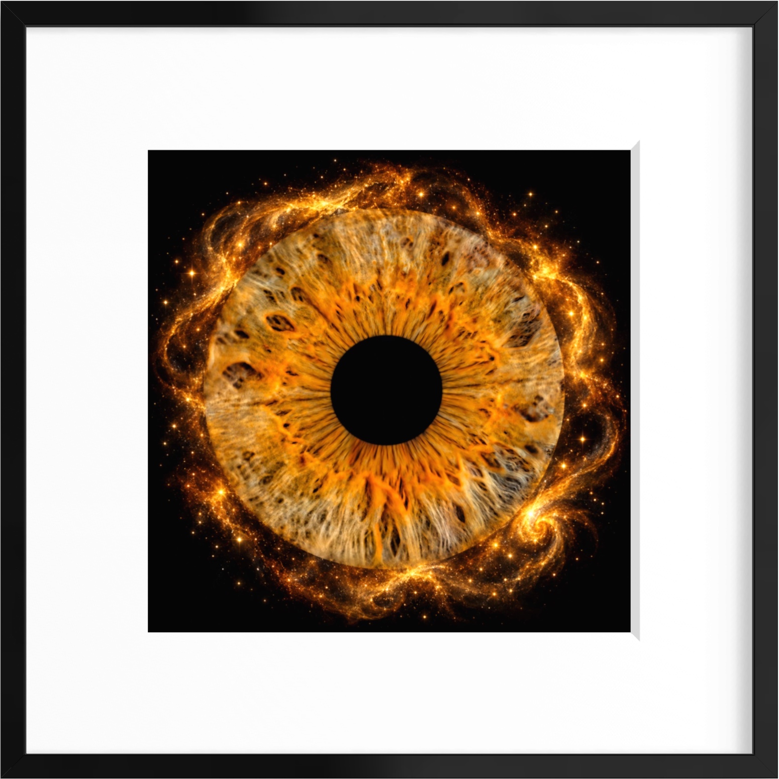 Gerahmte Iris-Fotografie als Wandkunst