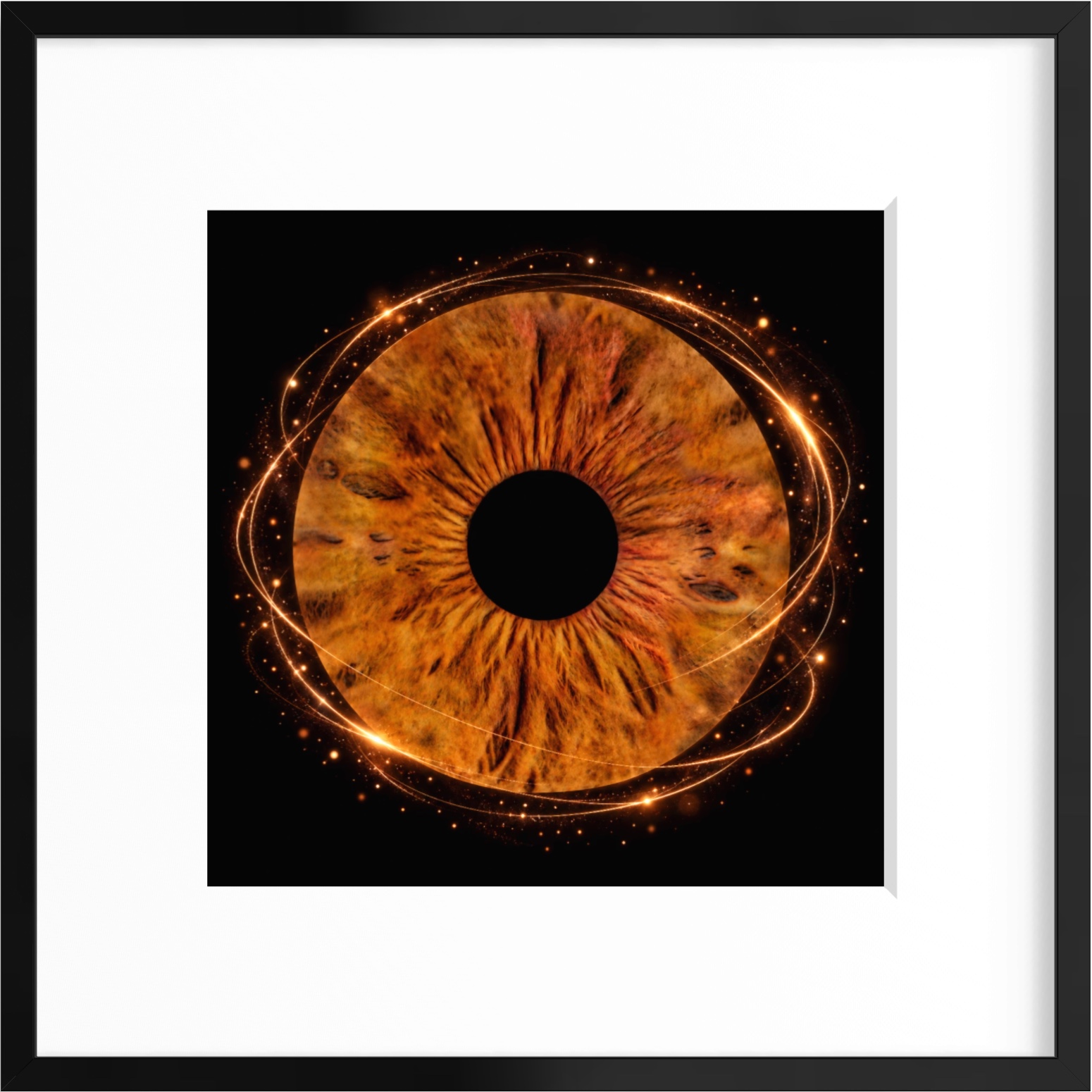 Iris als gerahmte Wandkunst